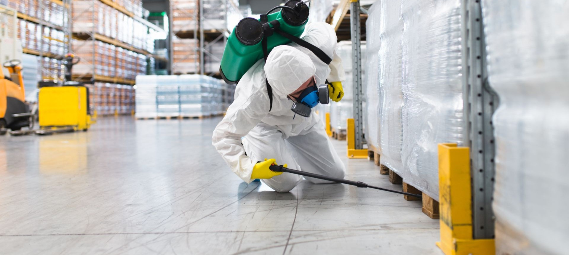 Por Que a Dedetização Regular é um Investimento Inteligente para Sua Empresa